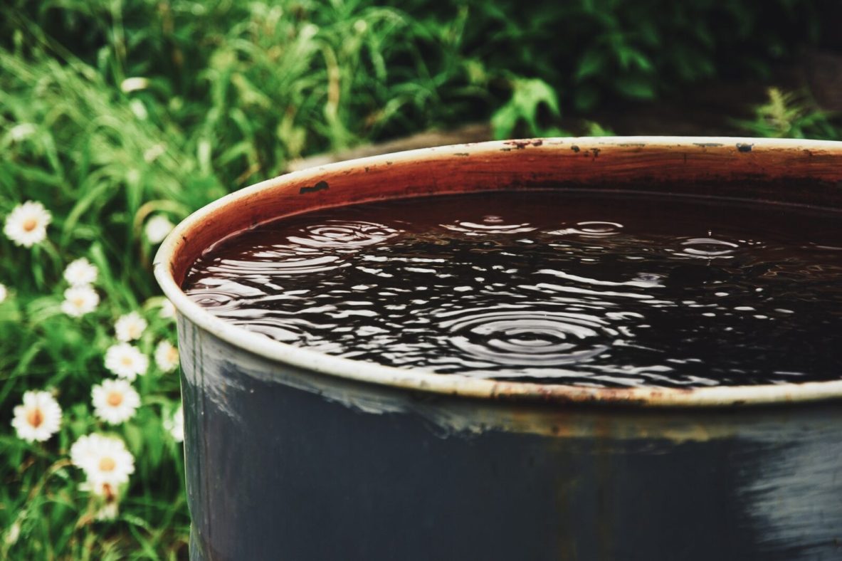 Rain water collection barrel Rain water collection barrel